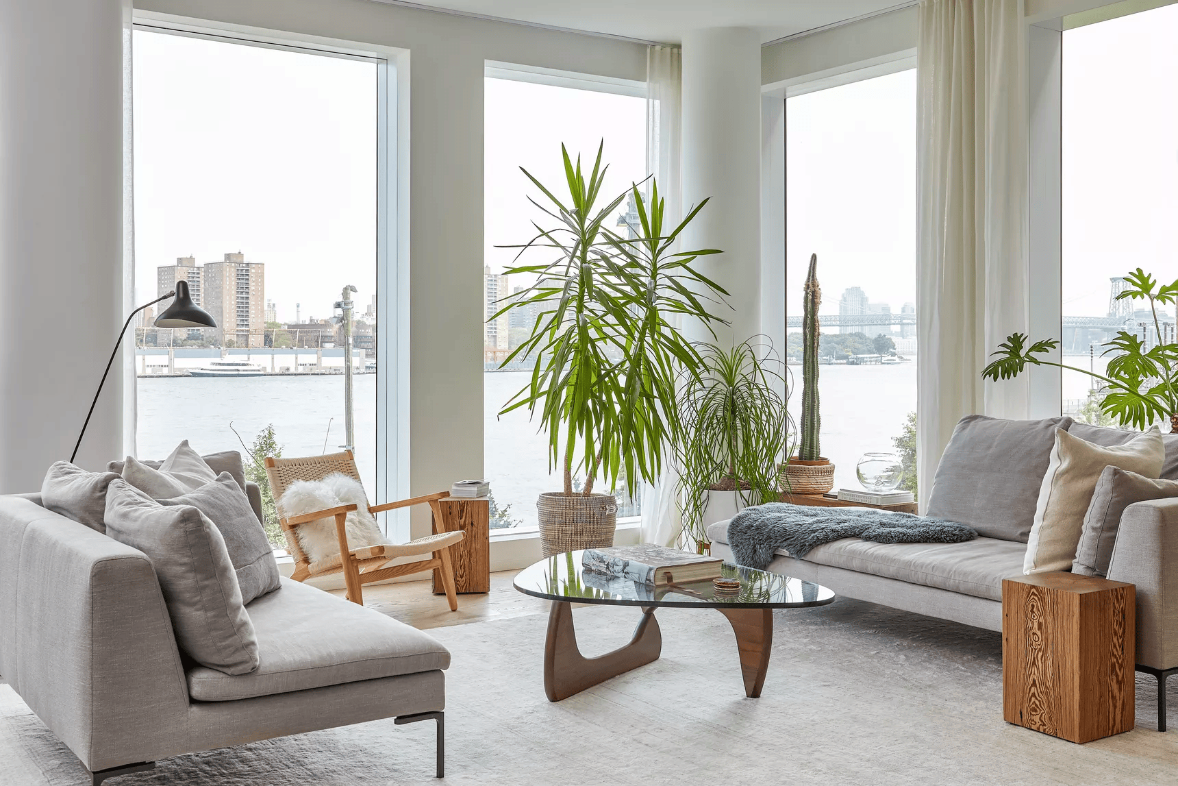 ZOOM-P08: Waterfront Plant Lounge